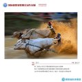 爭(zhēng)奪　